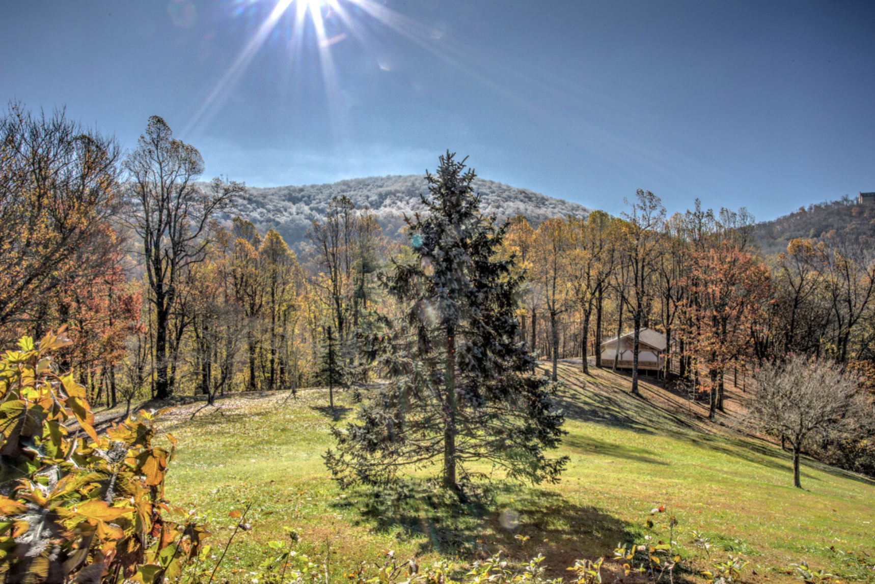 The Wedding Website of Franchesca Domrongchai and Justin Montgomery