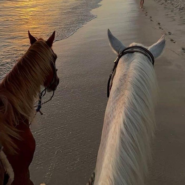 Horseback Riding
