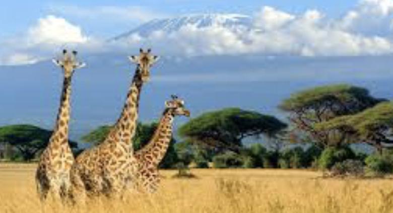 9cfe50a2-9fd7-4b18-8244-5eb3546c63f4