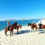 Horse Riding