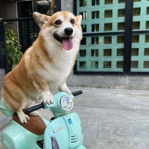 Vespa Rental
