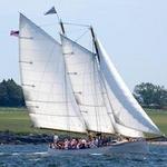 Sail Newport