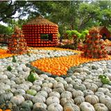 The Dallas Arboretum and Botanical Garden