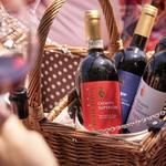 Villa Medicea Wine Tasting Tour on the day of Welcome Dinner at 16:30