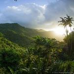 El Yunque National Forest