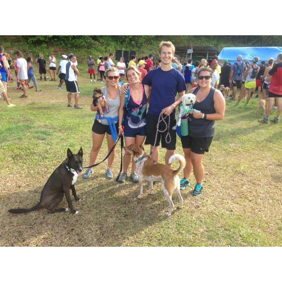 Hashing with the dogs