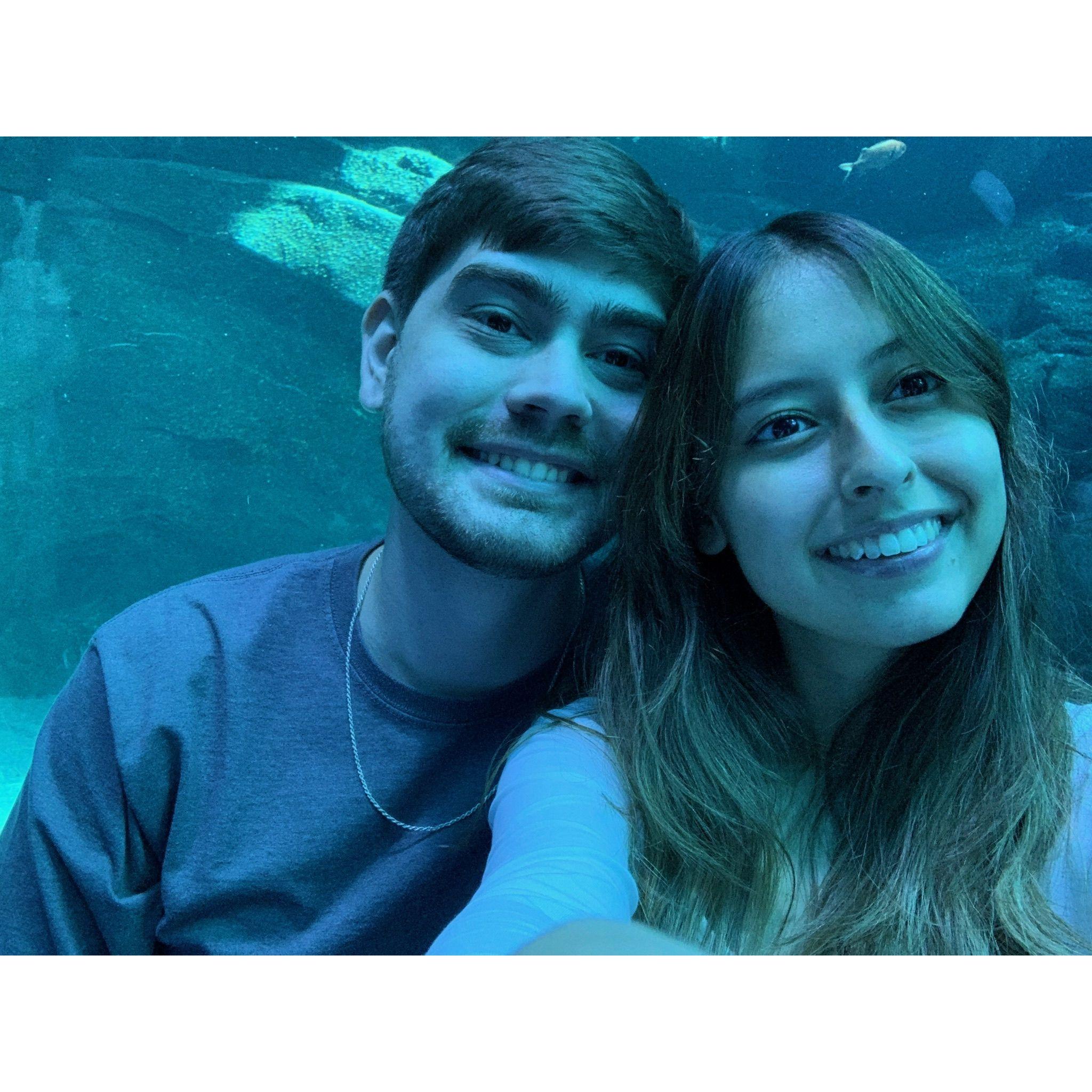 Taken during Steph's birthday trip - we visited Georgia Aquarium
