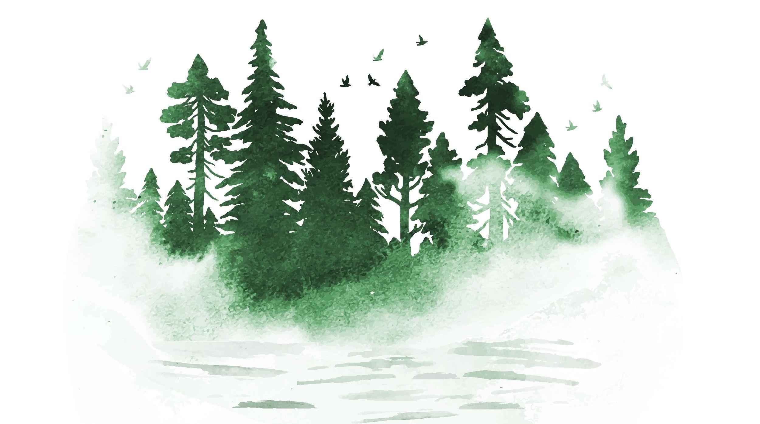 The Wedding Website of Alyssa Stetson and Nolan Condron