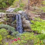 Garvan Woodland Gardens