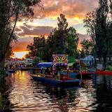 Lunadas in Trajinera Canals of Xochimilco
