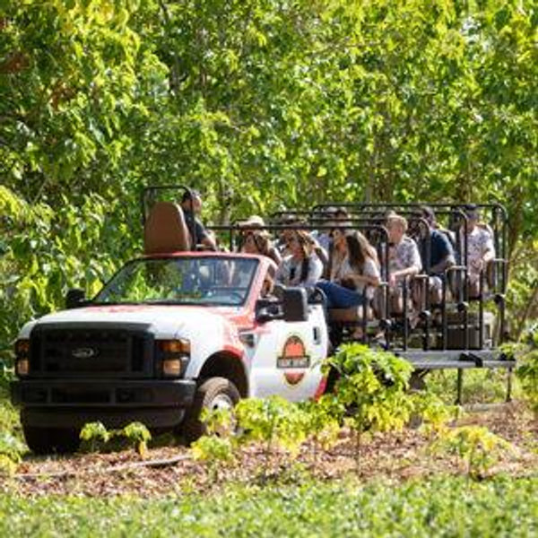 Kauai Rum Safari Tour
