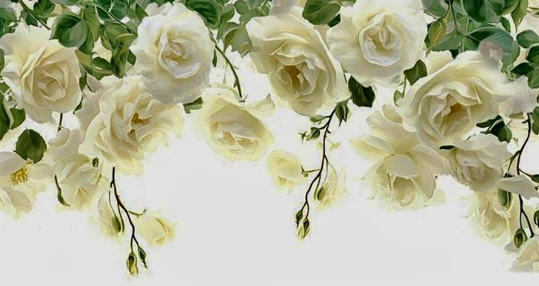 The Wedding Website of Taylor Burns and Justin Nash