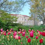 Cheekwood Estate & Gardens