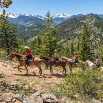 Horseback riding Jackson's Stables Inc