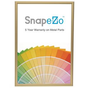 Poster Frame 20x30 Inch, Gold SnapeZo 1" Aluminum Profile, Front-Loading Snap Frame, Wall Mounting, Sleek Series