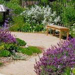 UC Davis Arboretum Teaching Nursery