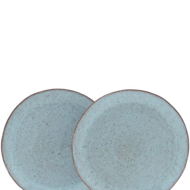 Southern LivingAstra Collection Glazed Dinner Plate, Set of 2