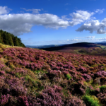 County Wicklow