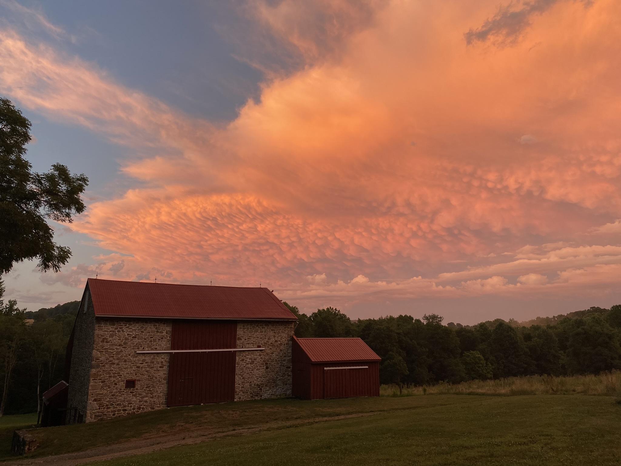 The Wedding Website of Stephanie Pappas and Joseph Greenwald III