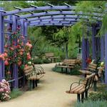 Botanical Garden at the Springs Preserve