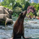 Central Park Zoo