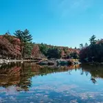 Breakheart Reservation
