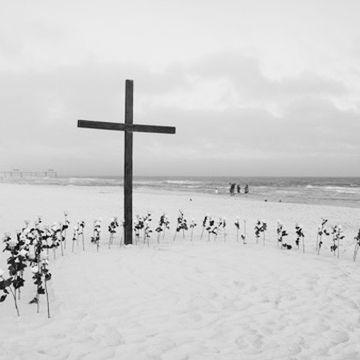 The beautiful proposal — Carter's vision, Graycie's dream!