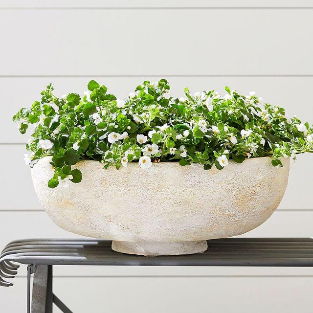 Artisan Planter Low Bowl, Large