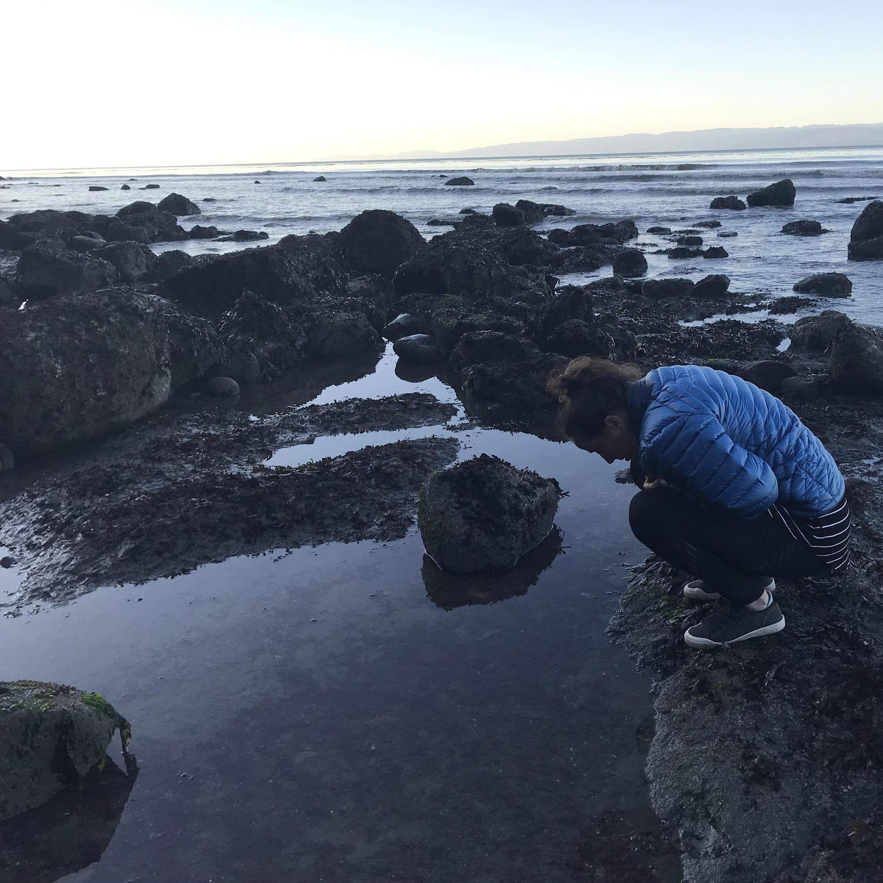 Erin exploring a tide pool on a beach walk together.