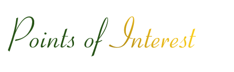 The Wedding Website of Morgan Lynn and Samuel Robinson