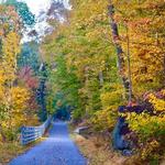 Chester Creek Trail