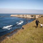Point Arena-Stornetta Public Lands