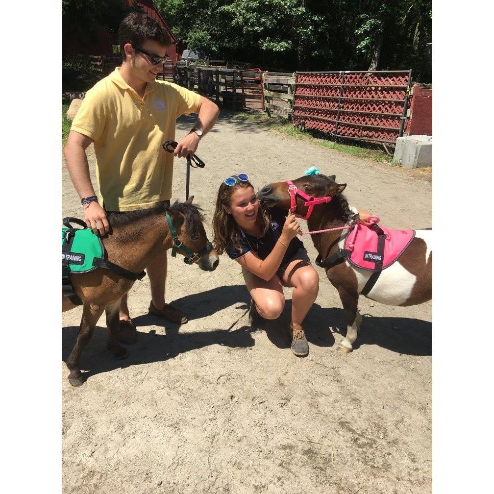 Faith Hill Farm, Summer 2017