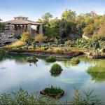 Japanese Tea Garden