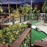 Mini Golf