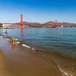 Crissy Field