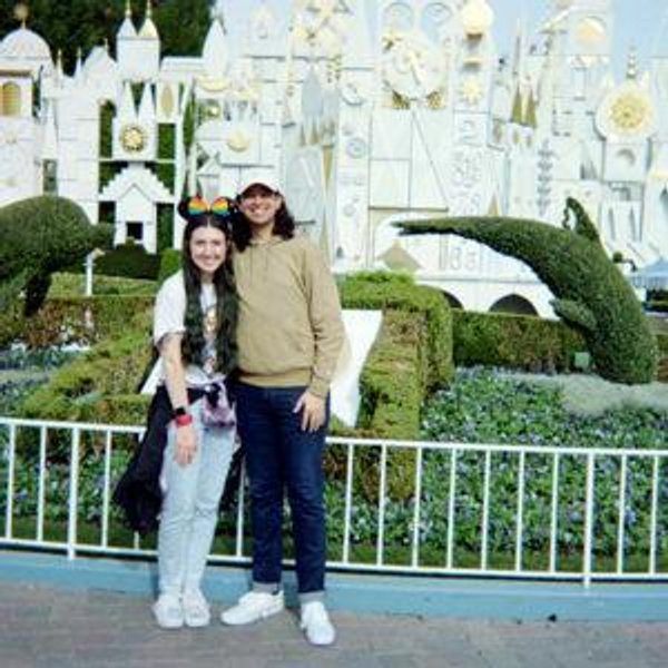 Disneyland hotel fund