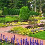 Munsinger Gardens