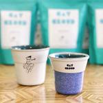grab a cup at Cat & Cloud Coffee
