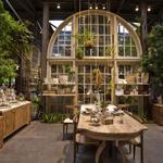 Terrain Cafe