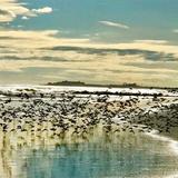 Stone Harbor Point