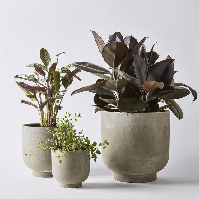 Footed Fiber Cement Planters
