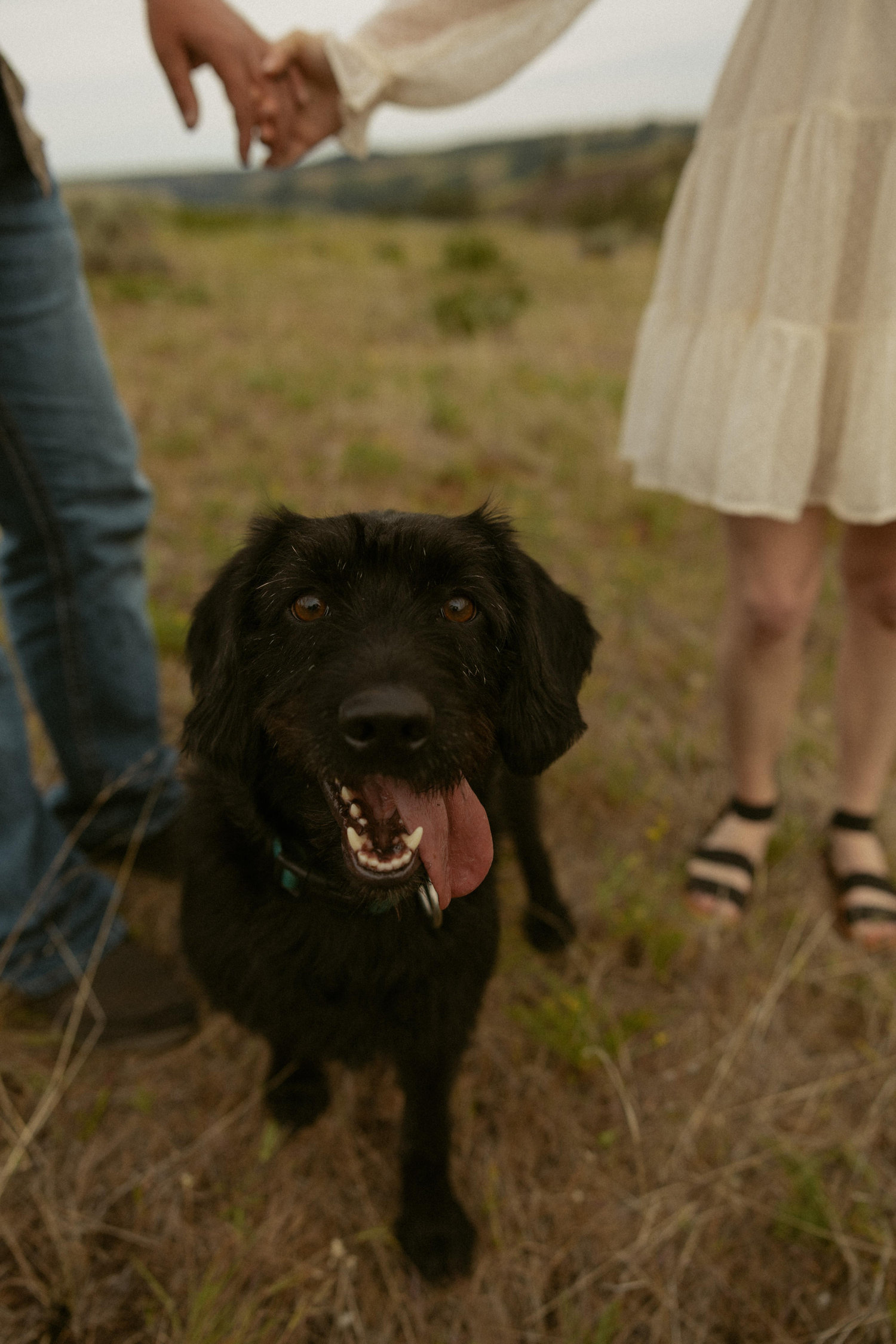 The Wedding Website of Sarah Watkins and Cooper Wicks
