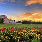 Forest Park