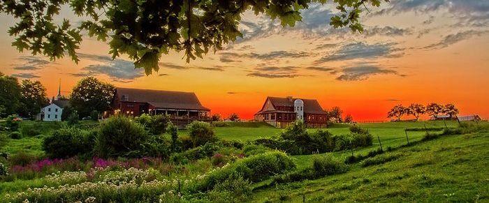 The Wedding Website of Nicole Love and Court Chapman