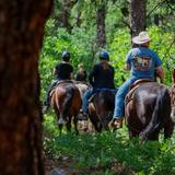 Bears Ranch