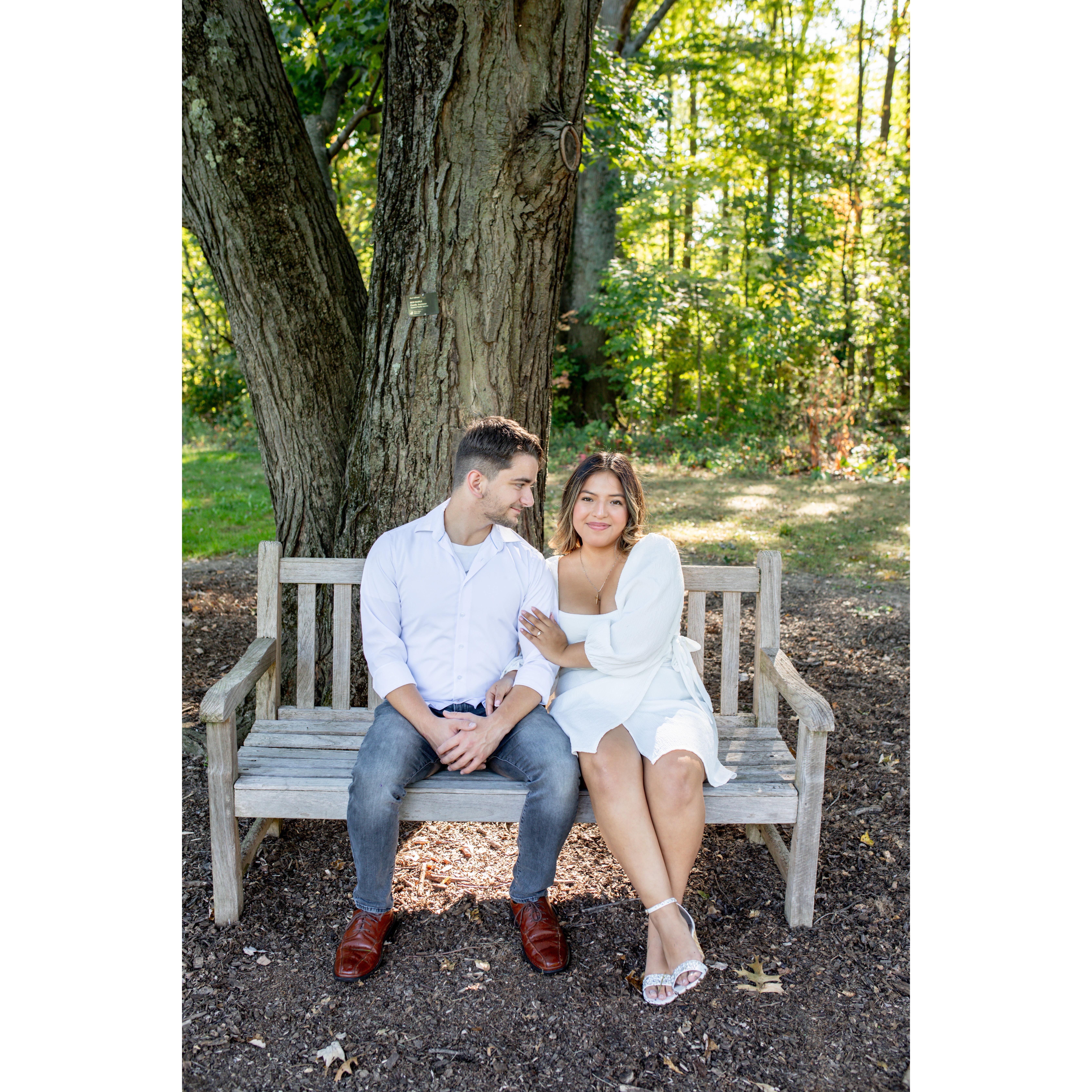 Our engagement pictures