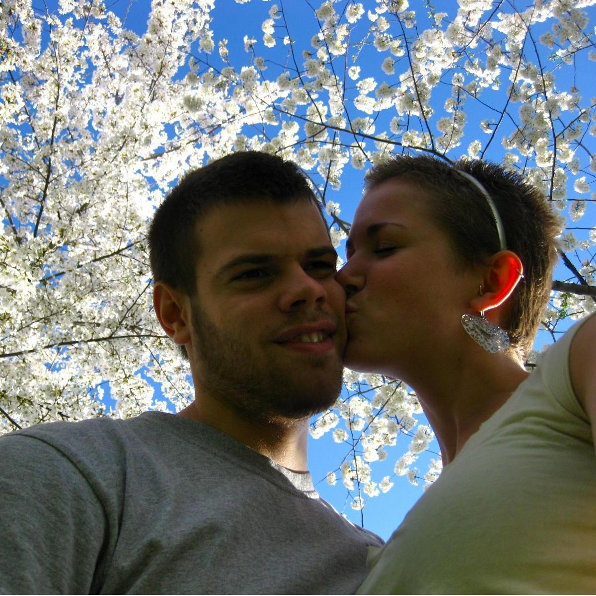DC's Cherry Blossom