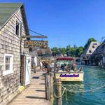 Fish Town