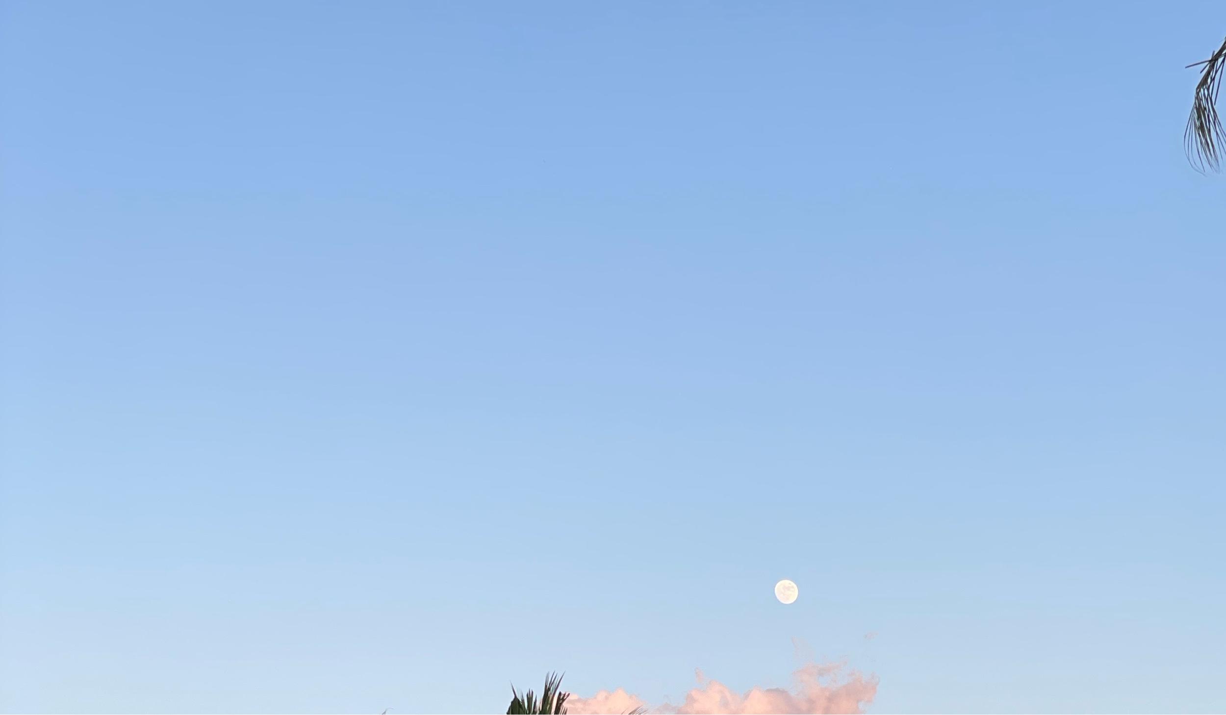 The Wedding Website of Erika Guevara and Rusty Torres